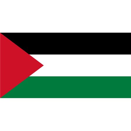 Bandiera Palestina - 150x90 cm