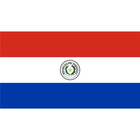 Bandiera Paraguay - 150x90 cm