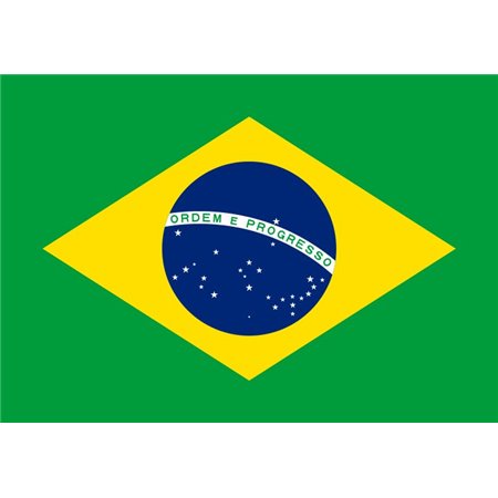 Bandiera Brasile - 20x15 cm