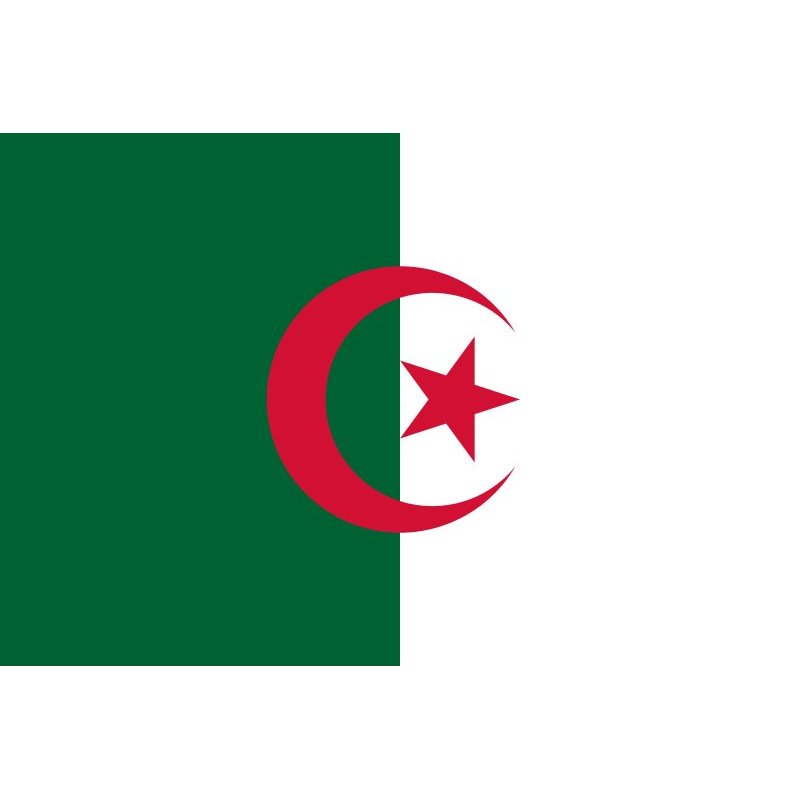 Bandiera Algeria - 30x20 cm