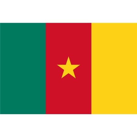 Bandiera Camerun - 150x90 cm