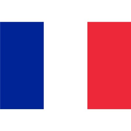 Bandiera Francia - 20x15 cm